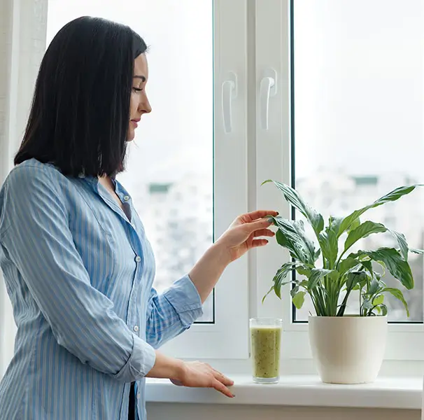 Invest-in-Cleaner-Air